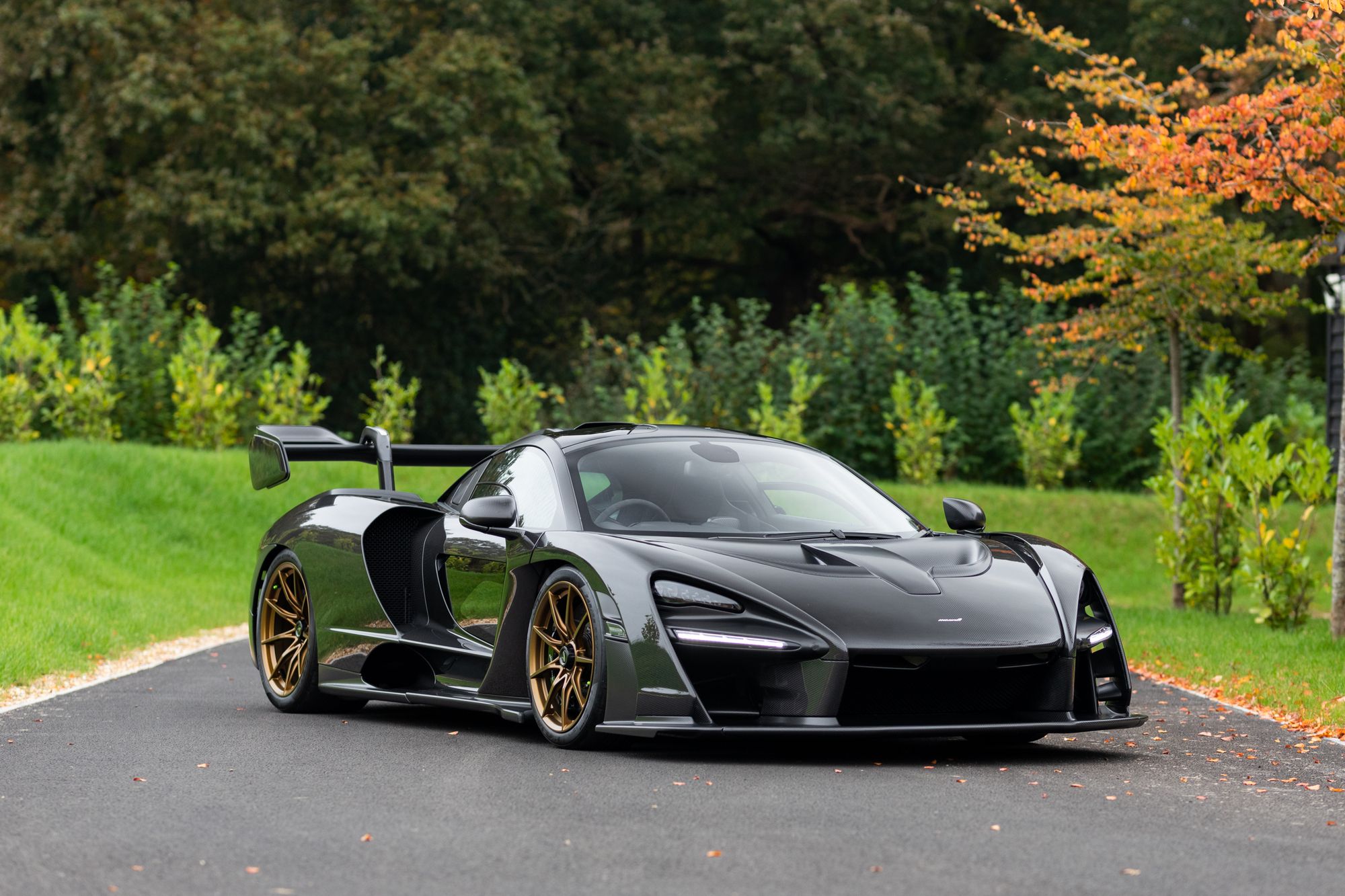 2019 McLaren Senna